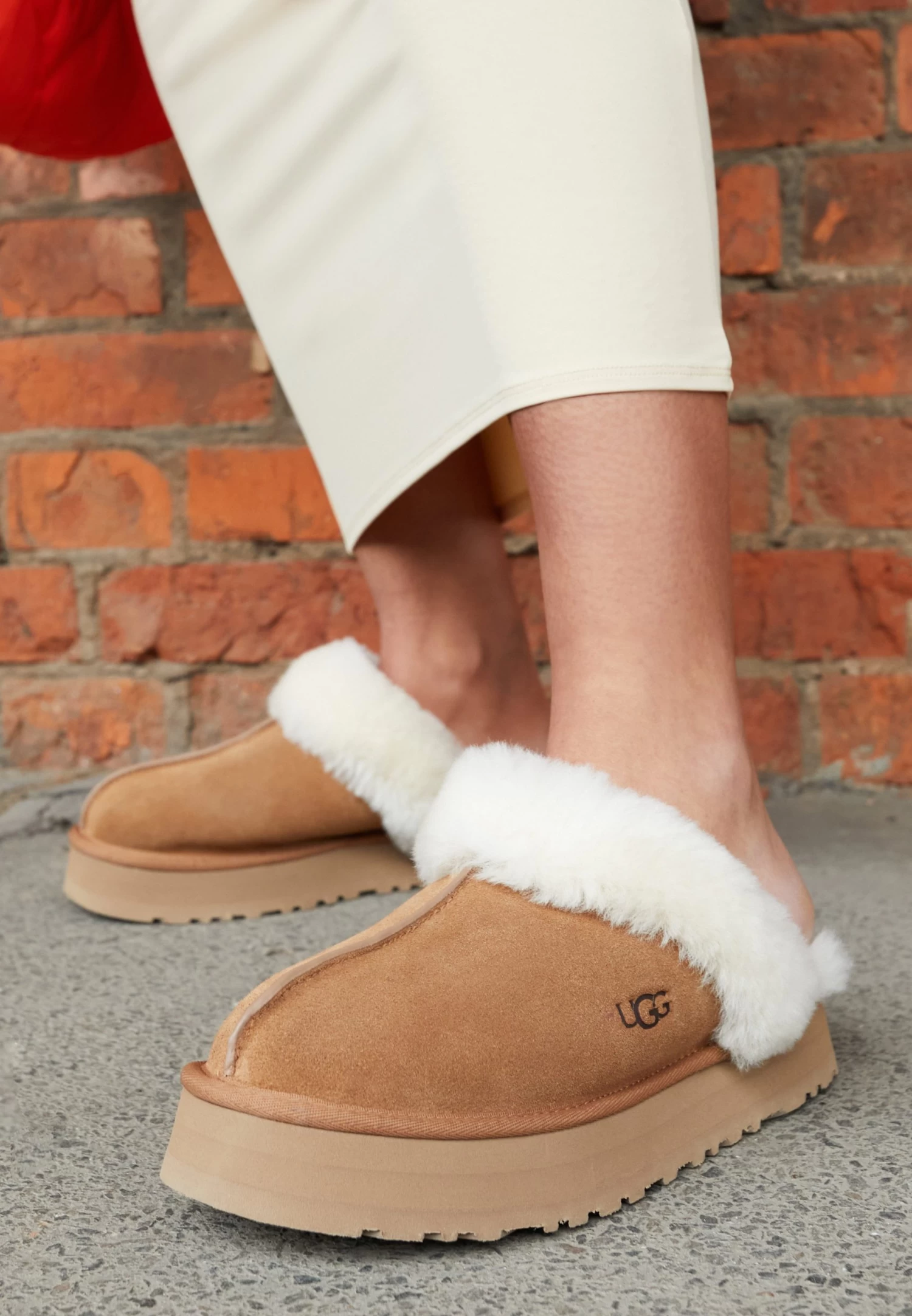 Ugg Disquette - Pantoffels - Chestnut 4 Ugg Disquette - Pantoffels - Chestnut - Afbeelding 2